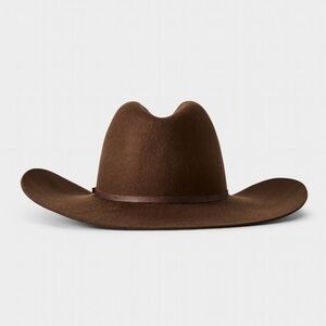 Aritzia juneshine cowboy brown felt hat